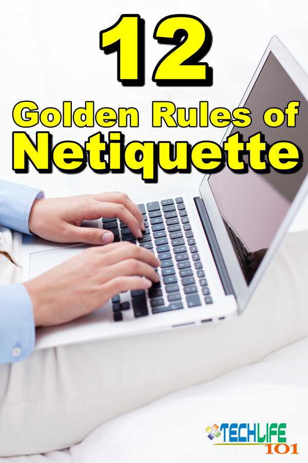 12 Golden Rules of Netiquette Pin